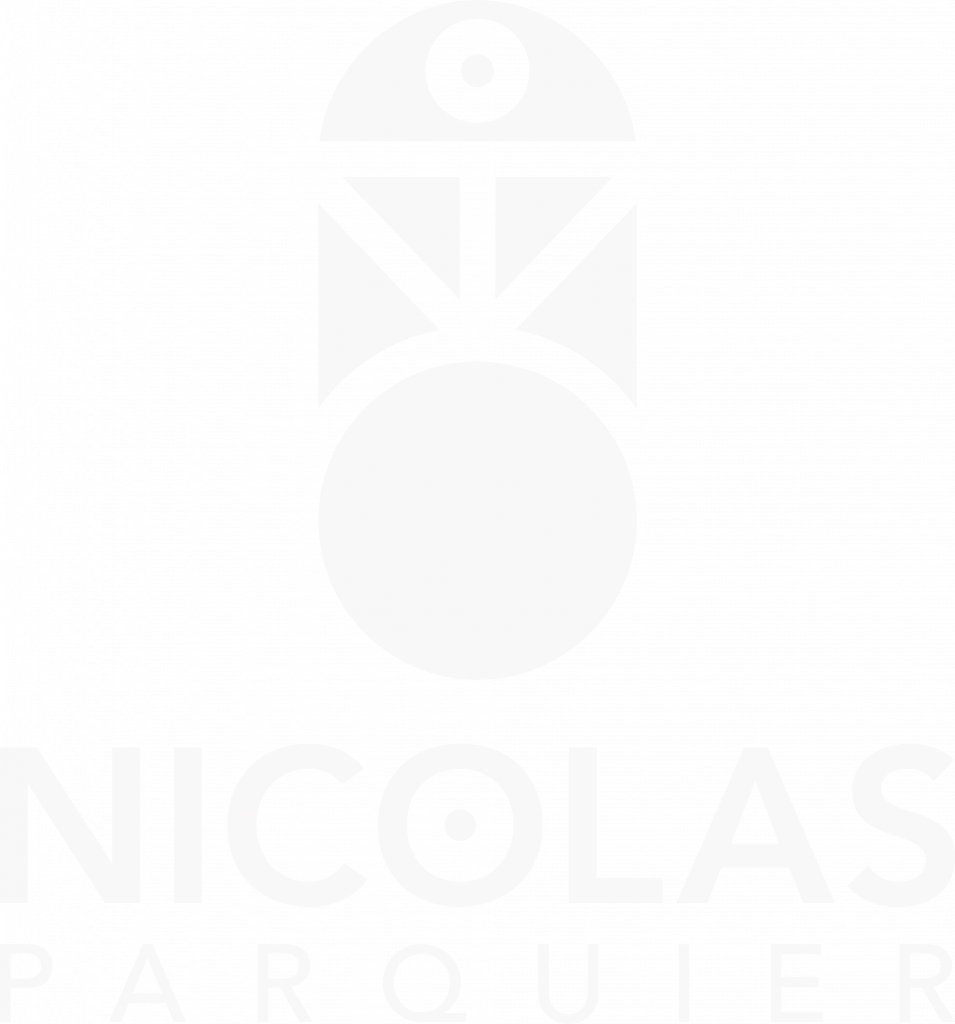 Logo secondaire Nicolas Parquier EI