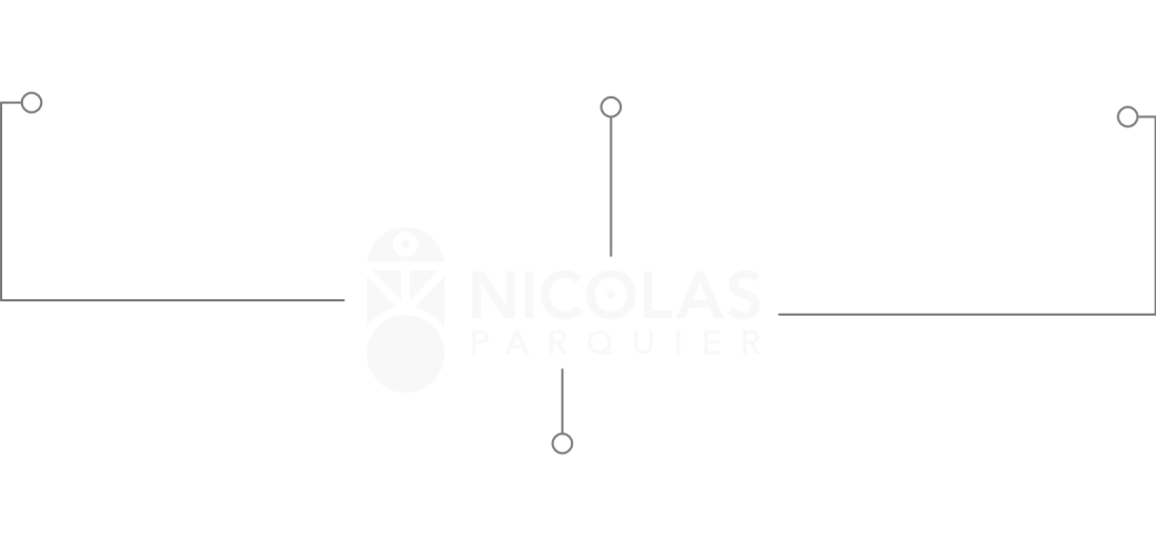 Explications du logo Nicolas Parquier EI